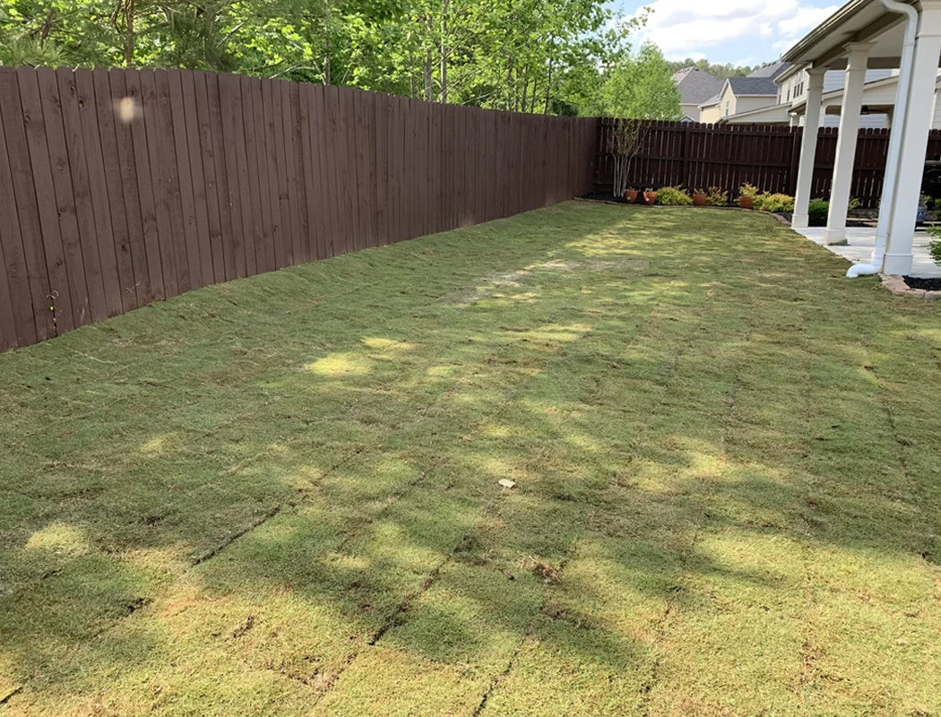 After installation: perfectly graded, lush sod lawn covering a level backyard expanse, bordered by a tall chocolate-brown privacy fence and framed by mature trees and patio overhang